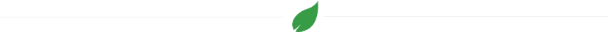 divider-green