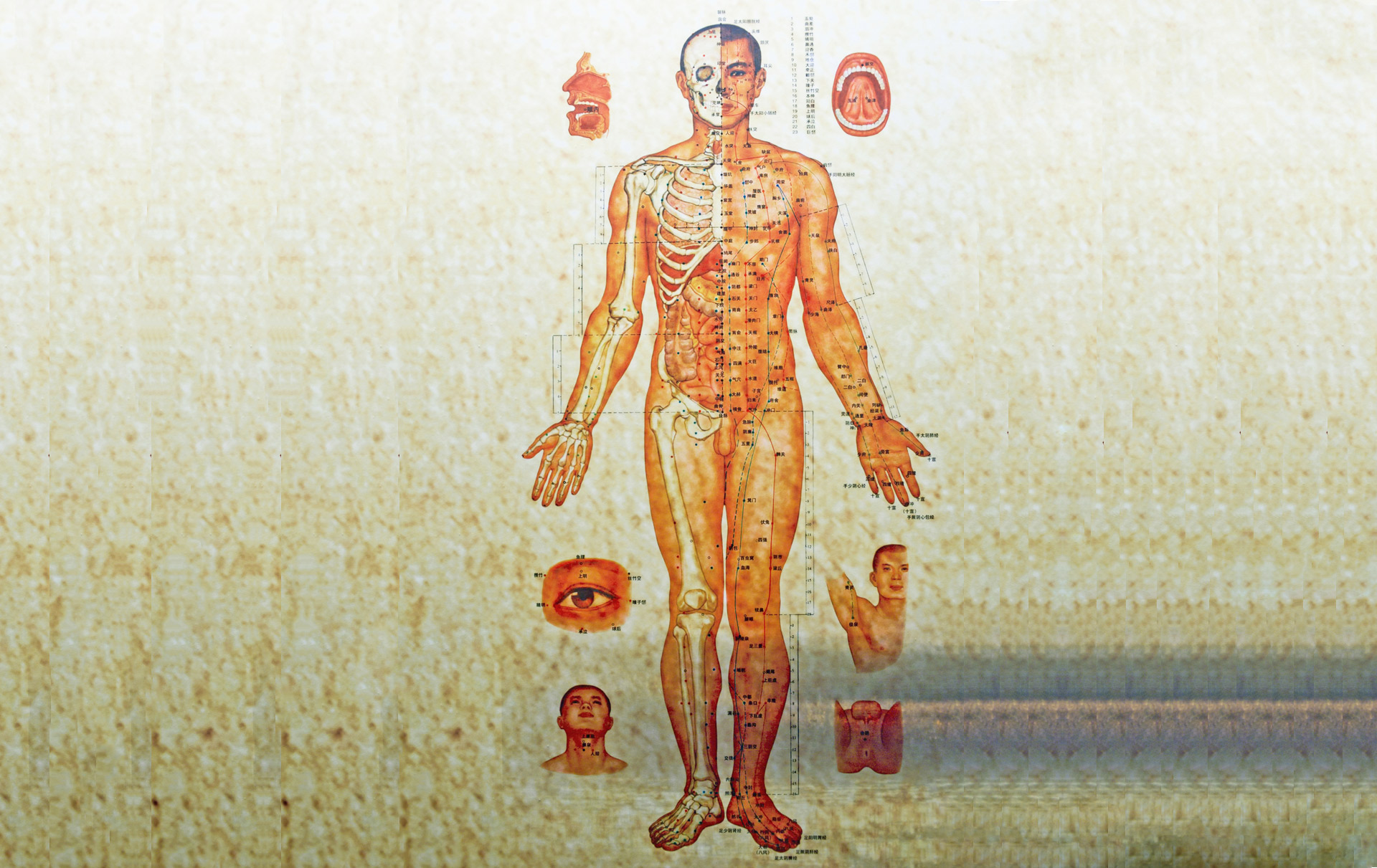 China_-Chinese-medicine-human-body-structure_1920x1211